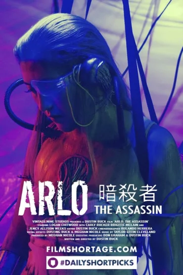 The Assassin