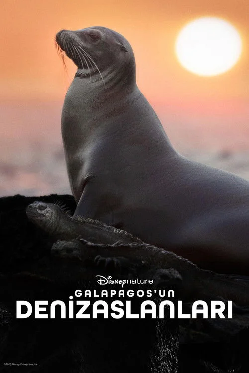 Galapagos'un Denizaslanları