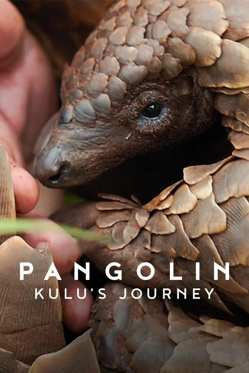 Pangolin: Kulu'nun Yolculuğu